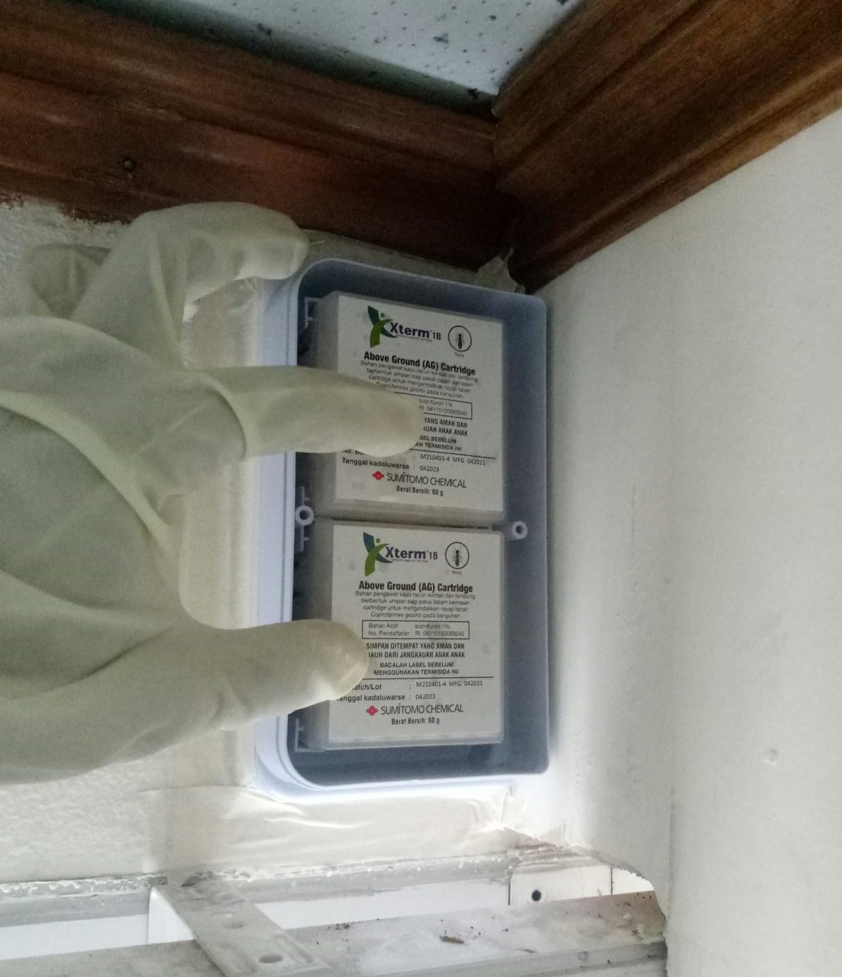 WhatsApp Image 2022-07-12 at 1.30.28 PM