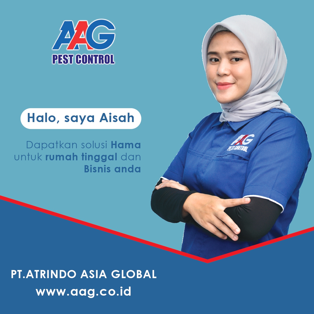profile wa bisnis_page-0001