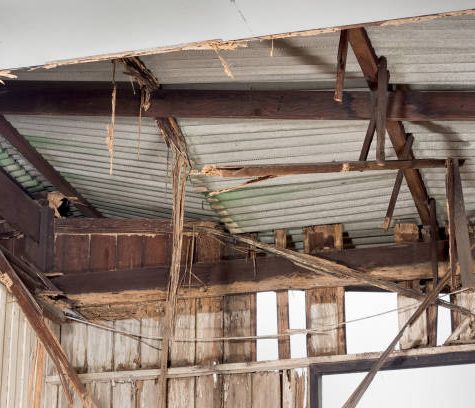 termite destroy the structure and ceiling of abandoned home