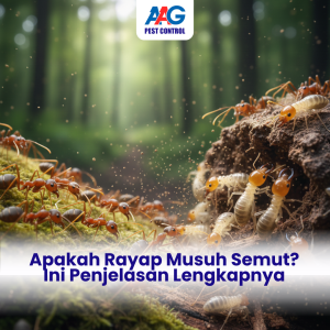 Rayap VS Semut